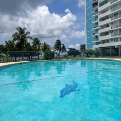 Casa Dream - Isleta-Marina Vacation Rental by FerTex Properties