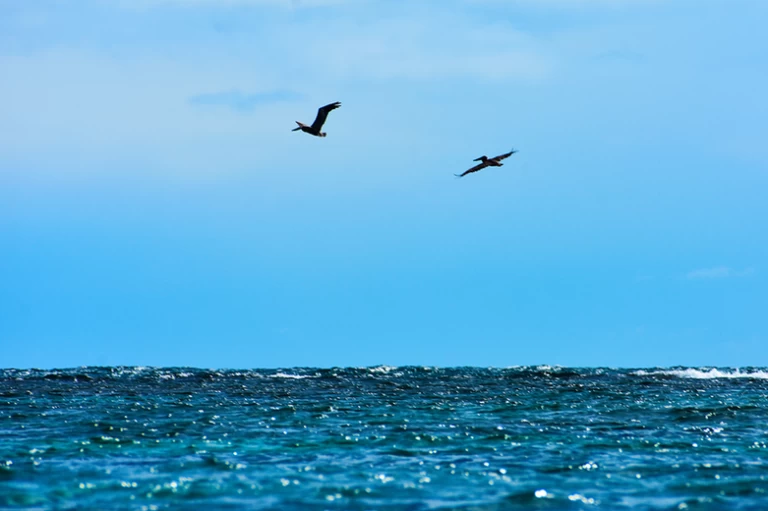 Playa Tamarindo - Guanica