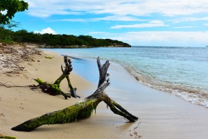 Playa Tamarindo - Guanica