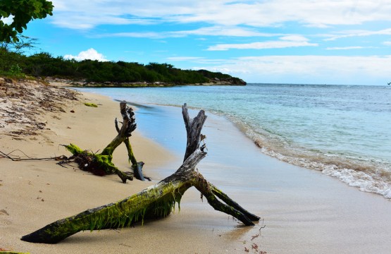 Playa Tamarindo - Guanica