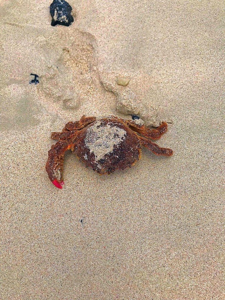 Activities in Puerto Rico: Culebra