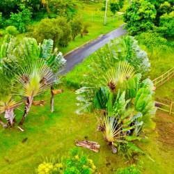 Mandala Retreat House by FerTex Properties