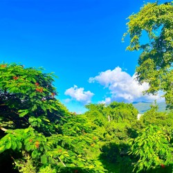 Casa Bonjour - Luxurious 4-Bedroom Vacation Rental Villa with Ocean & Mountain Views in Puerto Rico