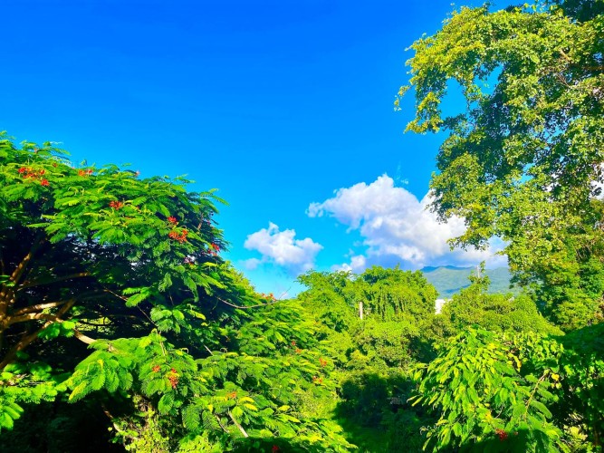 Casa Bonjour - Luxurious 4-Bedroom Vacation Rental Villa with Ocean & Mountain Views in Puerto Rico