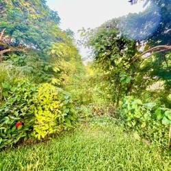 Casa Bonjour - Luxurious 4-Bedroom Vacation Rental Villa with Ocean & Mountain Views in Puerto Rico