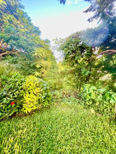 Casa Bonjour - Luxurious 4-Bedroom Vacation Rental Villa with Ocean & Mountain Views in Puerto Rico