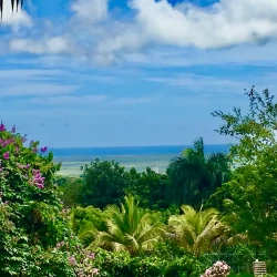 Casa Bonjour - Luxurious 4-Bedroom Vacation Rental Villa with Ocean & Mountain Views in Puerto Rico