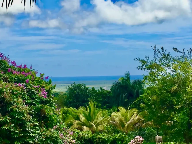 Casa Bonjour - Luxurious 4-Bedroom Vacation Rental Villa with Ocean & Mountain Views in Puerto Rico