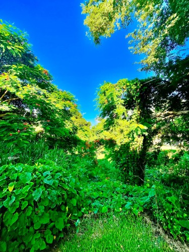 Casa Bonjour - Luxurious 4-Bedroom Vacation Rental Villa with Ocean & Mountain Views in Puerto Rico