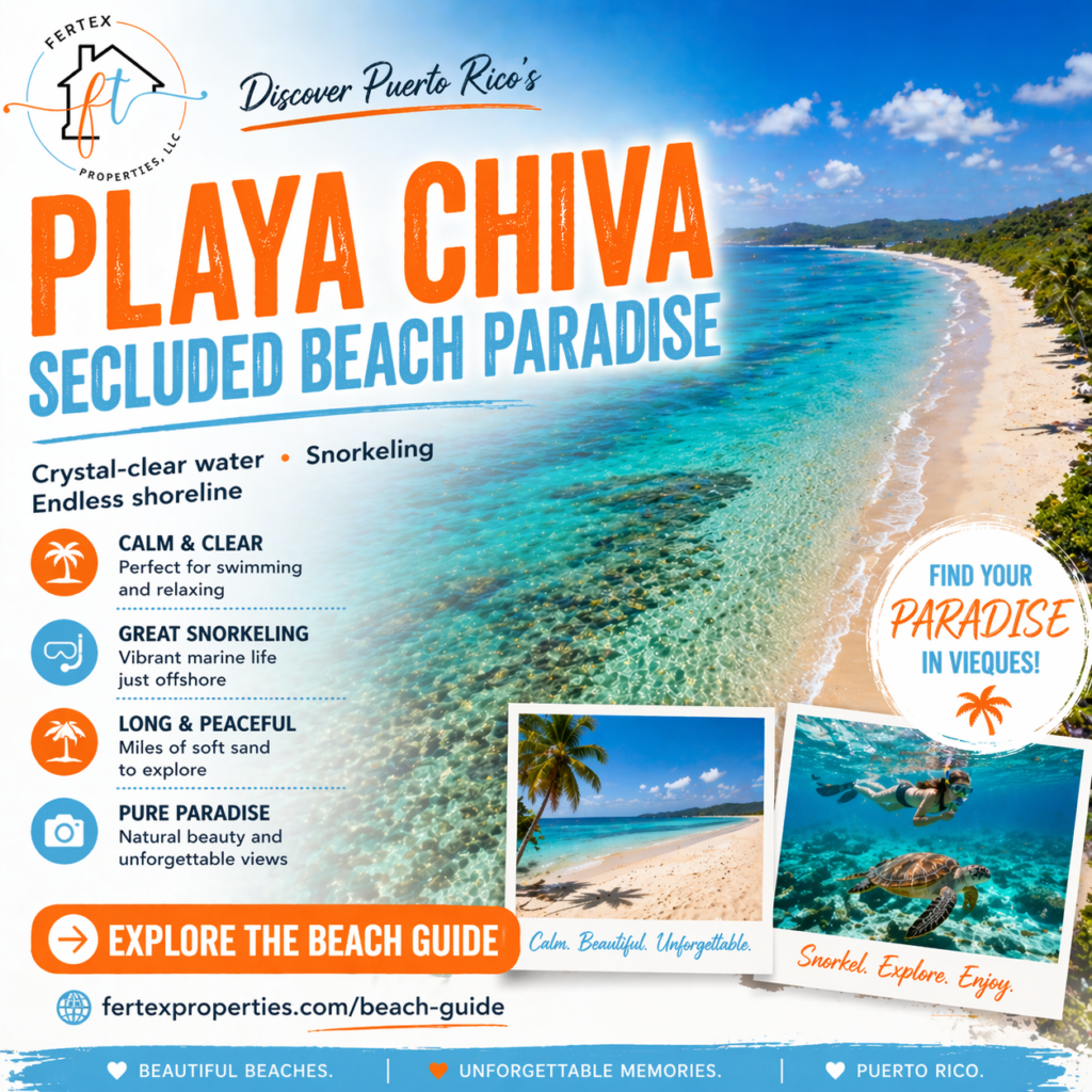 Ultimate Beach Guide 2026: Playa Chiva