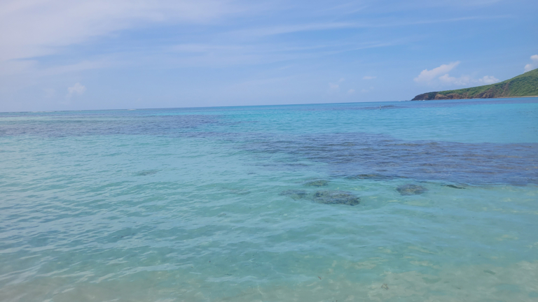 Ultimate Beach Guide 2026: Flamenco Beach (Culebra)