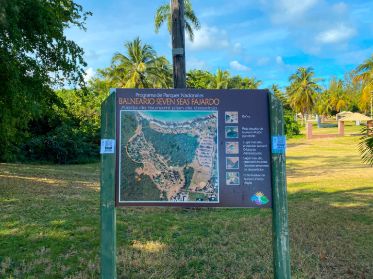 Ultimate Beach Guide 2026: Seven Seas Beach