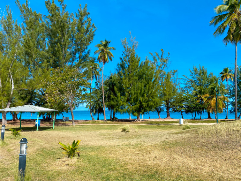 Ultimate Beach Guide 2026: Seven Seas Beach