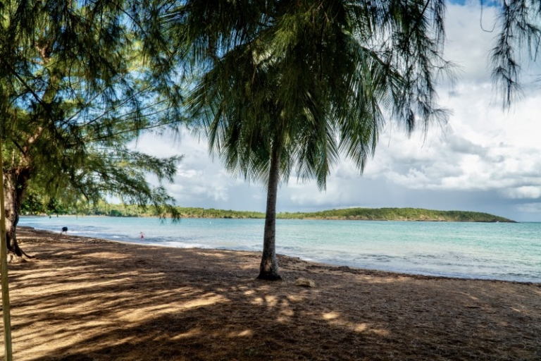 Ultimate Beach Guide 2026: Seven Seas Beach