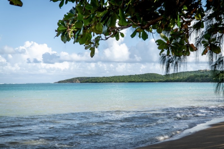 Ultimate Beach Guide 2026: Seven Seas Beach