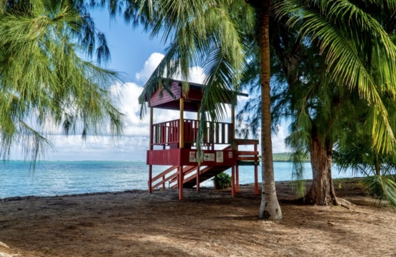 Ultimate Beach Guide 2026: Seven Seas Beach