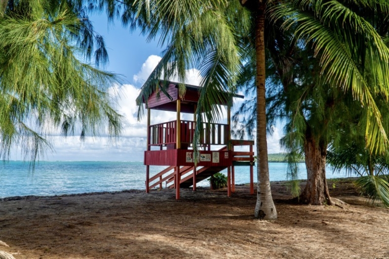 Ultimate Beach Guide 2026: Seven Seas Beach