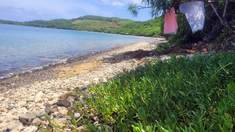 Ultimate Beach Guide 2026: Tamarindo Beach (Culebra)