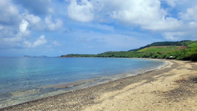 Ultimate Beach Guide 2026: Tamarindo Beach (Culebra)