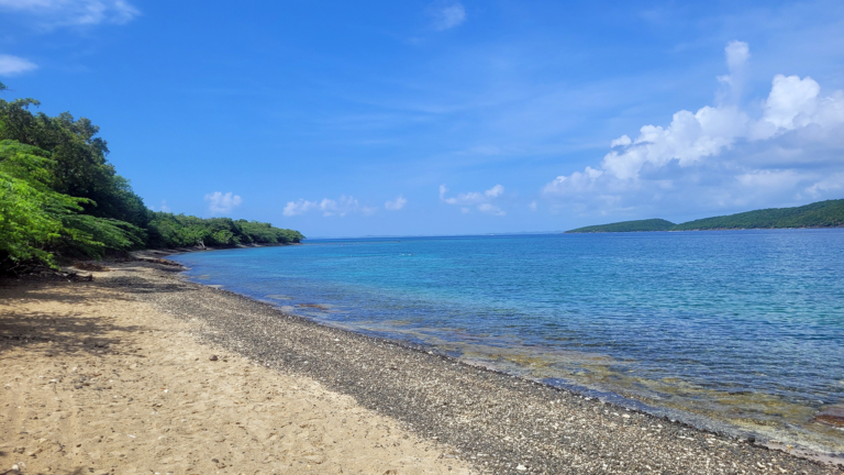 Ultimate Beach Guide 2026: Tamarindo Beach (Culebra)