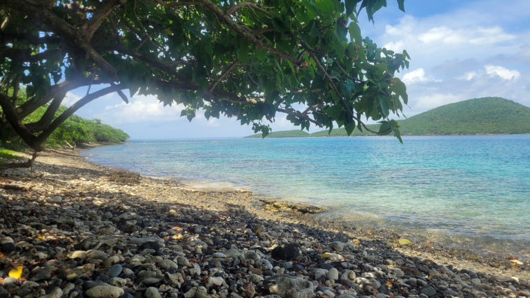 Ultimate Beach Guide 2026: Tamarindo Beach (Culebra)