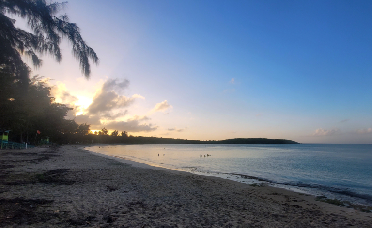 Ultimate Beach Guide 2026: Seven Seas Beach