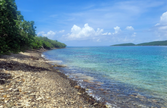 Ultimate Beach Guide 2026: Tamarindo Culebra