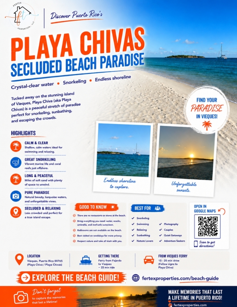 Ultimate Beach Guide 2026: Playa Chiva
