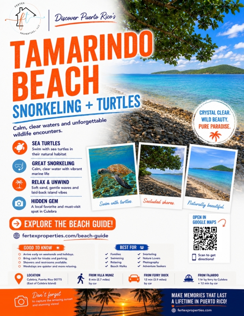 Ultimate Beach Guide 2026: Tamarindo Beach