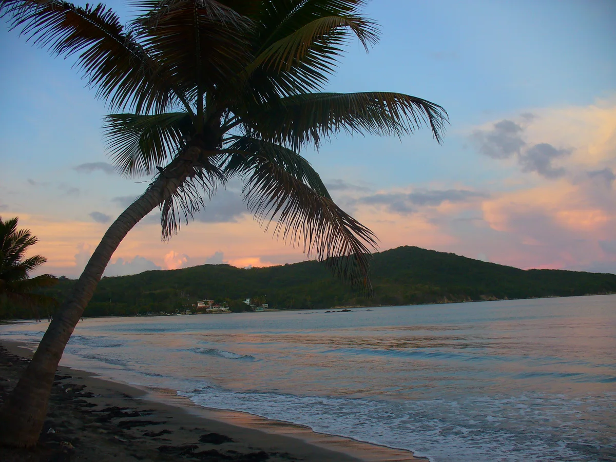 Palm-lined Luquillo Beach, Puerto Rico