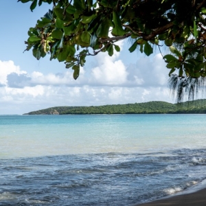 Ultimate Beach Guide 2026: Seven Seas Beach